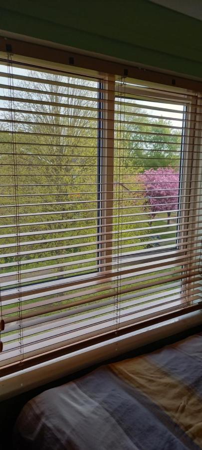 Bed and breakfast Close To Historic Norwich Extérieur photo